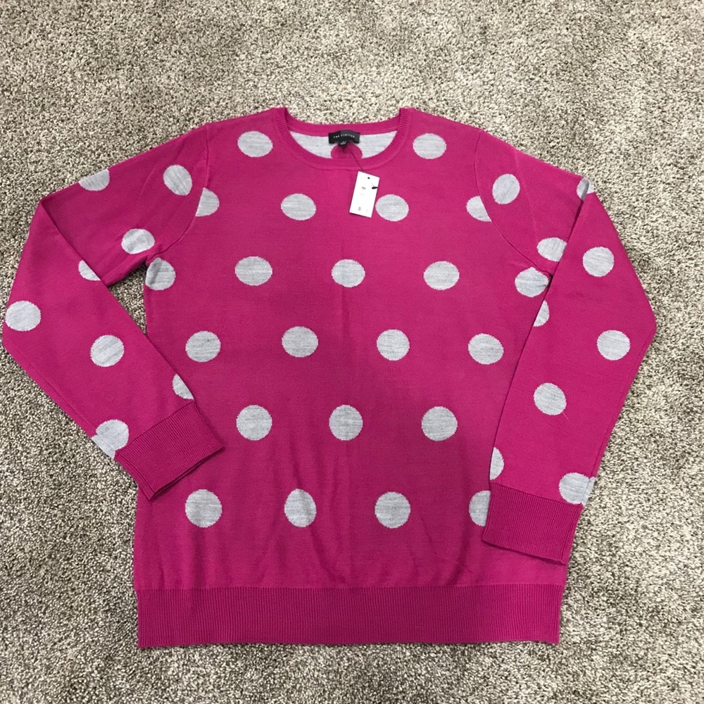 NWT The Limited Sweater